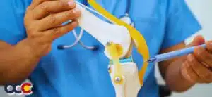 ACL Specialist